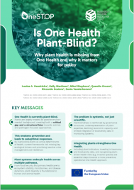 Policy brief #6